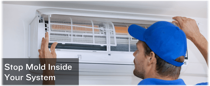 HVAC Mold Removal Coral Springs